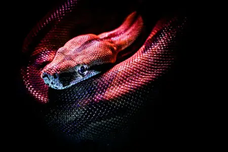 Ταξίδια σε τσέχικους αυτοκινητόδρομους – πώς μπορείτε να φτάσετε εύκολα στους πιο δημοφιλείς προορισμούς με μια βινιέτα;