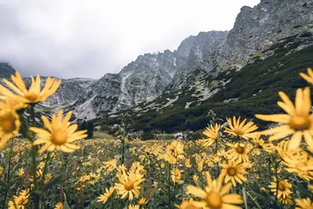 Slovakijos Vinjetė: Kelias į kelionių galimybes
